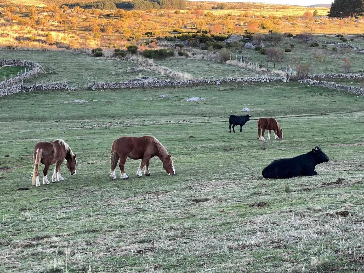 La Nava De Gredos Acogedor Piso Con Vistas Apartamento Navarredonda de Gredos Exterior foto