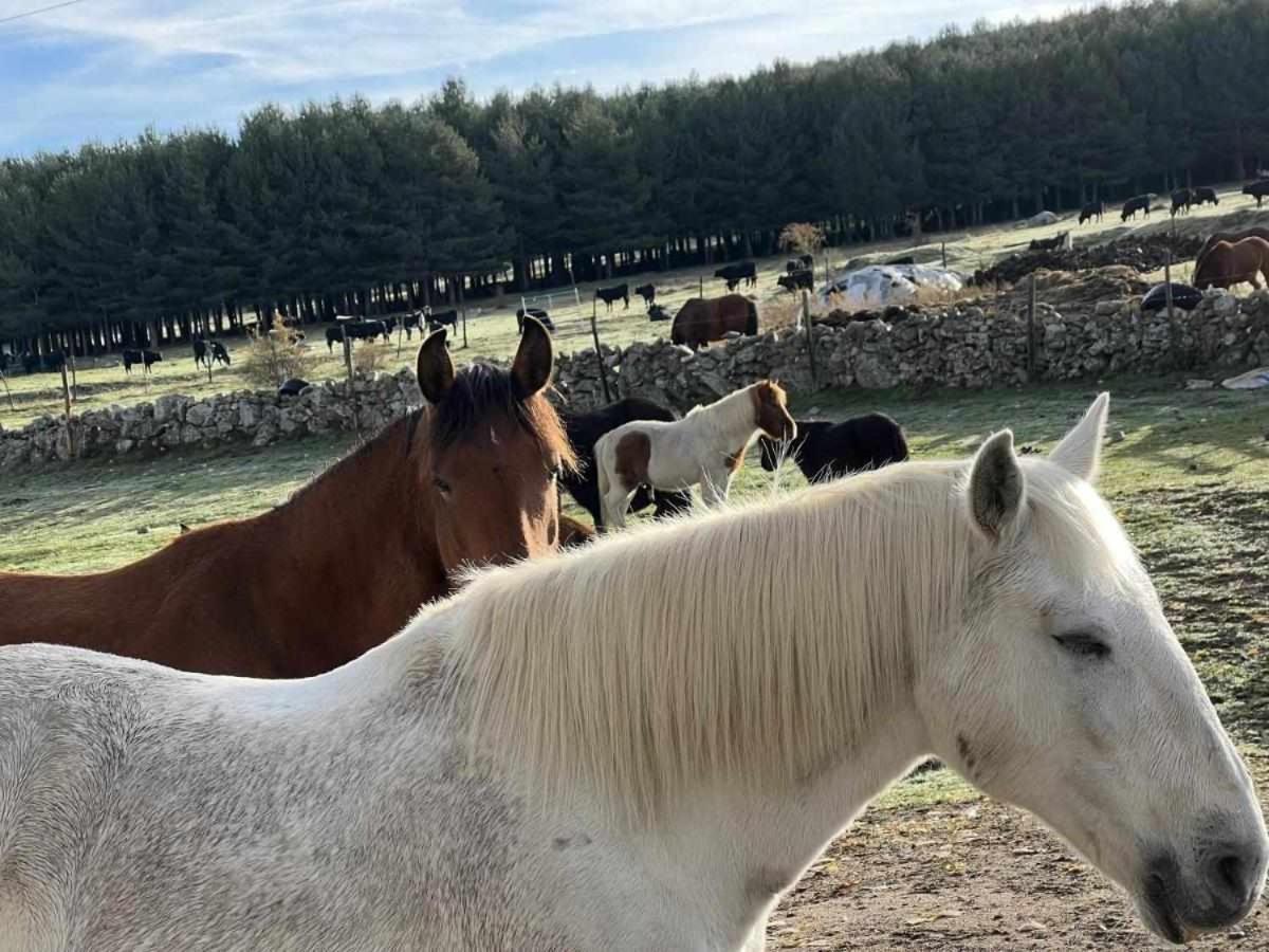 La Nava De Gredos Acogedor Piso Con Vistas Apartamento Navarredonda de Gredos Exterior foto